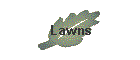 Lawns