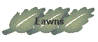 Lawns