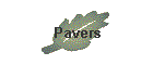 Pavers