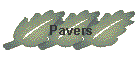 Pavers